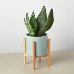 Cylinder Planter With Wood Stand - 5" Pot -House Plant Shop CylinderPlanterwithWoodStandAquadetail