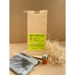 Tiny Cactus Kit -House Plant Shop IMG 4936