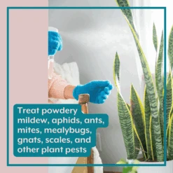 The Complete Plant Care Bundle (Plant Food + ProBiotics + Natural Pest Control) -House Plant Shop IPP 4a 1df0ce9b d25a 47a7 aad8 c9709c9c17fc