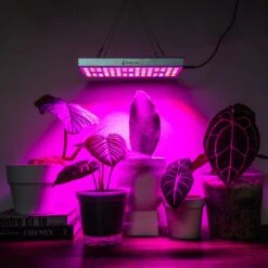 Brite Labs - Gaze Grow Light 14 Brite Labs - Gaze Grow Light -House Plant Shop JOMN1720