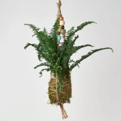 Bead Kokedama Moss Ball Hanging Plant -House Plant Shop Kokedamamossball jestercrown withbeads
