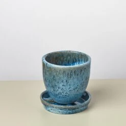 Liberty Bell Planter 29 Liberty Bell Planter -House Plant Shop LibertyBell bluesaucer pot