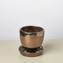 Liberty Bell Planter 36 Liberty Bell Planter -House Plant Shop LibertyBell coppersaucer pot