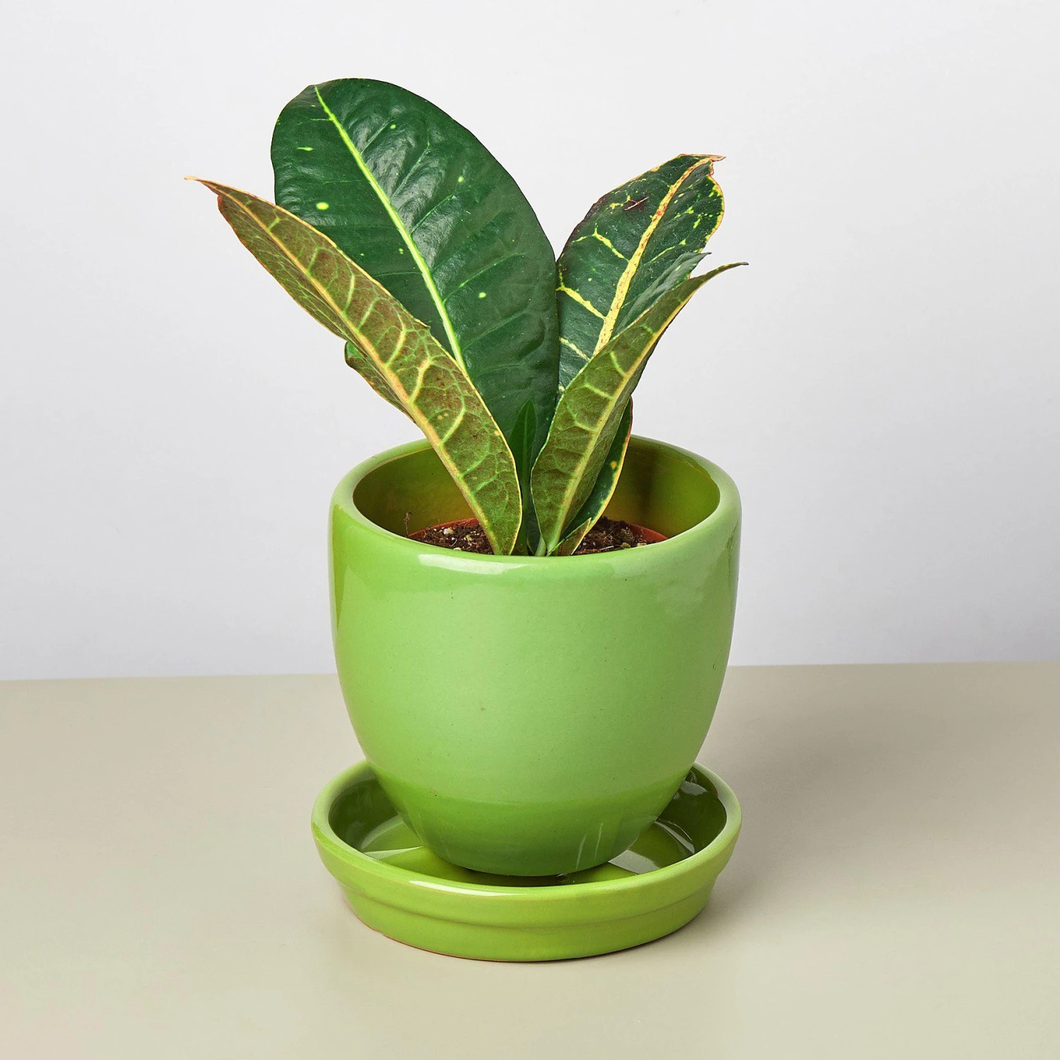 Liberty Bell Planter 7 Liberty Bell Planter - Image 7