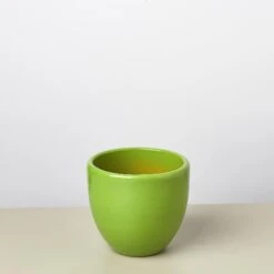 Liberty Bell Planter 22 Liberty Bell Planter -House Plant Shop LibertyBell greenpot