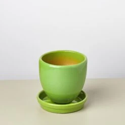 Liberty Bell Planter 24 Liberty Bell Planter -House Plant Shop LibertyBell greensaucer pot