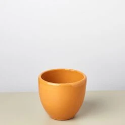 Liberty Bell Planter 32 Liberty Bell Planter -House Plant Shop LibertyBell orangepot