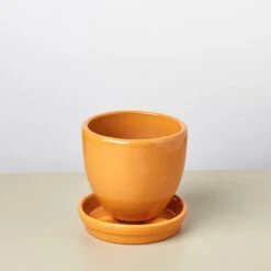 Liberty Bell Planter 33 Liberty Bell Planter -House Plant Shop LibertyBell orangesaucer pot