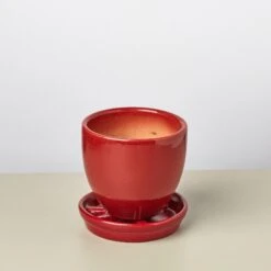 Liberty Bell Planter 34 Liberty Bell Planter -House Plant Shop LibertyBell redsaucer pot