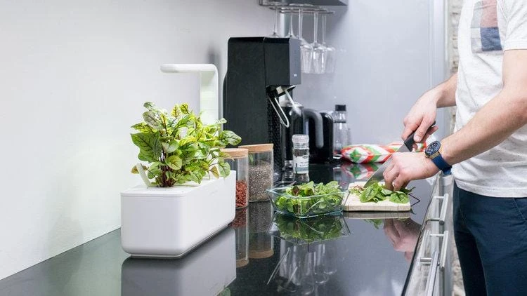 Click & Grow | Smart Garden 3 4 Click & Grow | Smart Garden 3 - Image 4