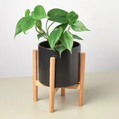 Cylinder Planter With Wood Stand - 5" Pot -House Plant Shop POTBLACKWOODSTAND DETAIL