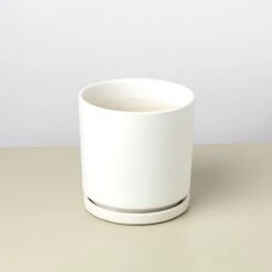 Cylinder Planter -House Plant Shop Supplies pot attachedsaucerwhite