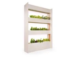 Click And Grow | Wall Farm -House Plant Shop Wall Farm angle 1280x960 1200x ba2b37cd c565 4557 8f31 7357a3301cc2