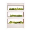 Click And Grow | Wall Farm