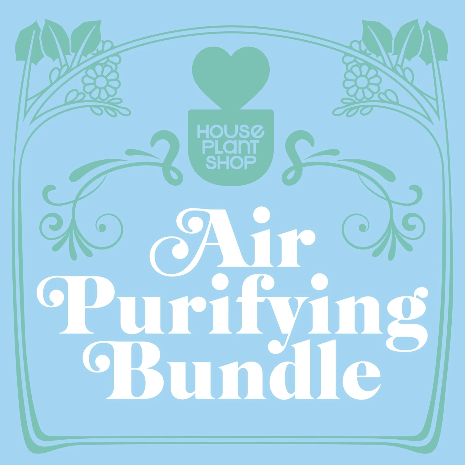 Air Purifying Variety Bundle 2 Air Purifying Variety Bundle - Image 2