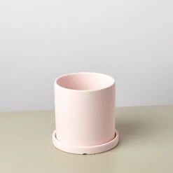 Matte Finish Cylinder Planter With Saucer -House Plant Shop mattepotpink