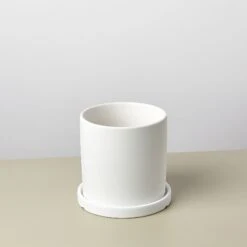 Matte Finish Cylinder Planter With Saucer -House Plant Shop mattepotwhite