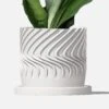 Swirl Planter