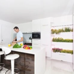 Click And Grow | Wall Farm -House Plant Shop wf lifestyle 002 1200x c7061db5 fe59 4d49 a2d4 4c6e52155aa6