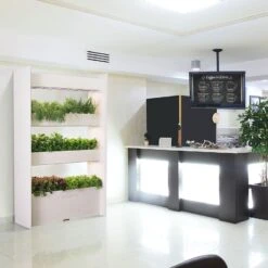 Click And Grow | Wall Farm -House Plant Shop wf lifestyle 003 1200x 484287d8 8934 47bb 8cda ff41e510f027