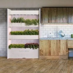 Click And Grow | Wall Farm -House Plant Shop wf lifestyle extra 1200x 3f8229b3 acf0 4dec a9d3 973c008b58c4